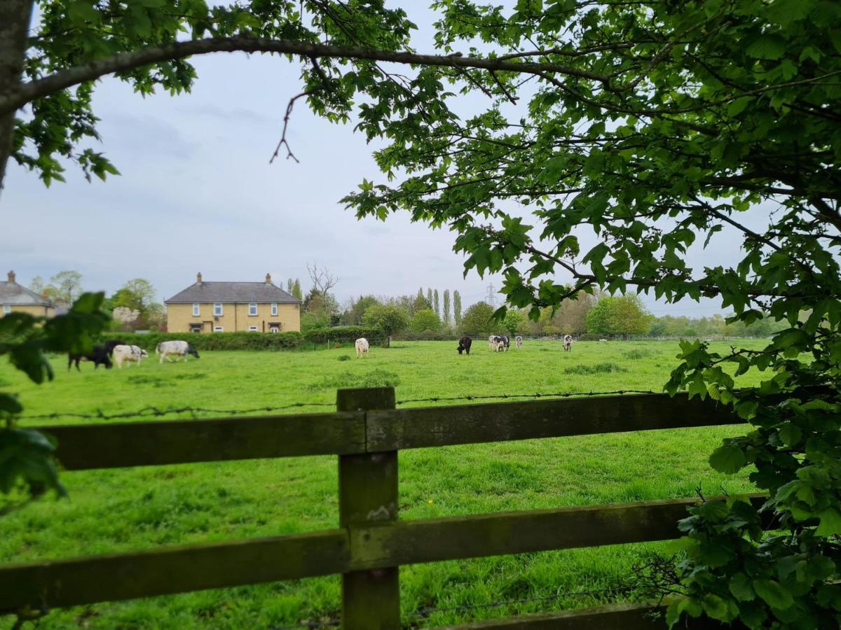 Mulberry Farm * Wyboston